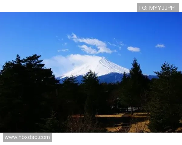 东京与大阪飞脚之争谁才是日本武术的真正代表